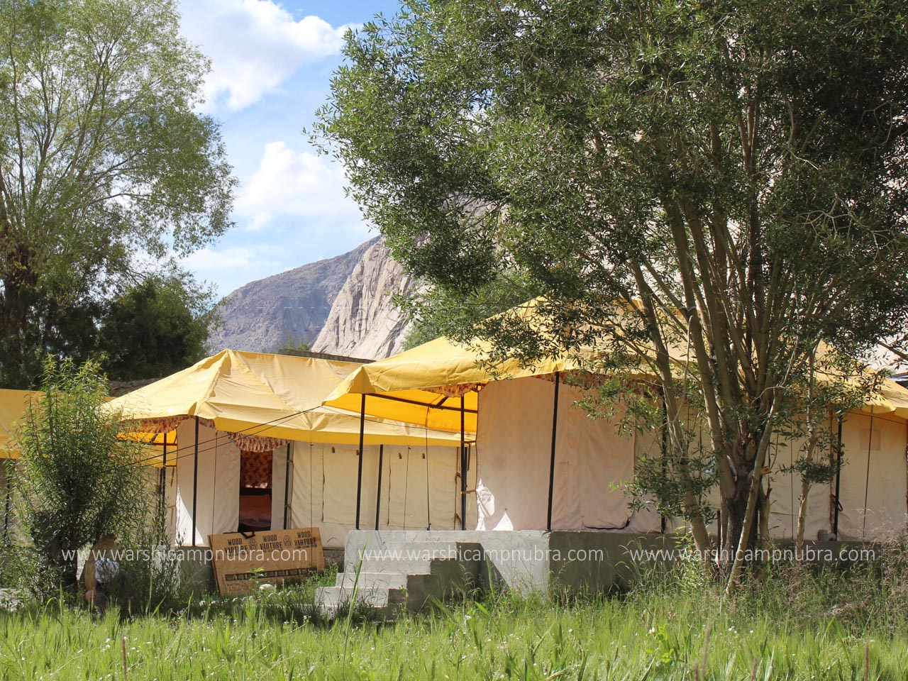 Warshi Camp Nubra Valley Ladakh